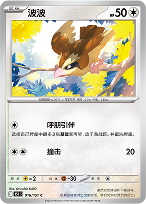 波波 / Pidgey