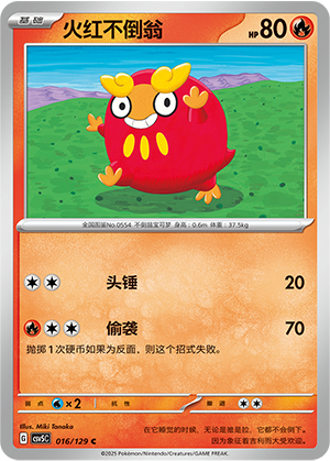火红不倒翁 / Darumaka