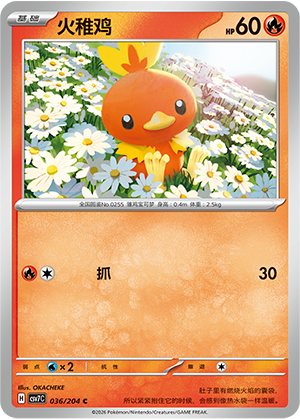 火稚鸡 / Torchic