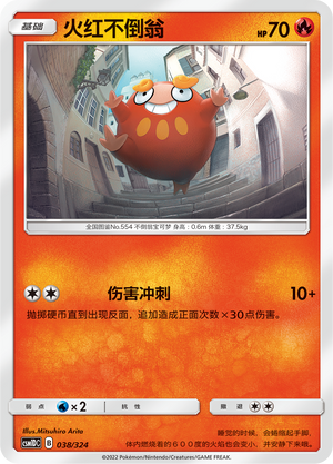 火红不倒翁 / Darumaka