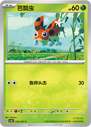 芭瓢虫 / Ledyba