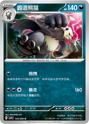 霸道熊猫 / Pangoro