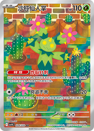 沙铃仙人掌 / Maractus