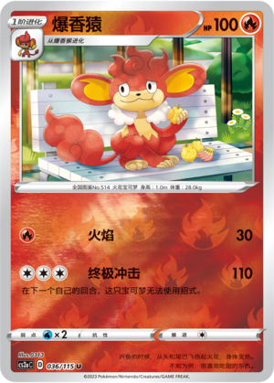 爆香猿