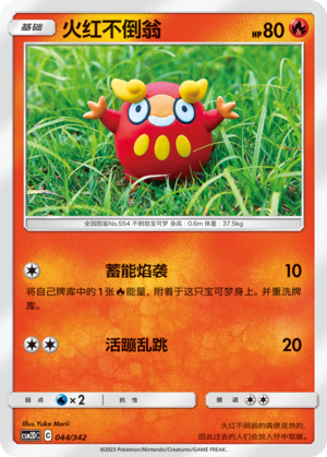 火红不倒翁 / Darumaka