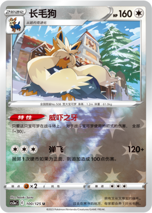 长毛狗