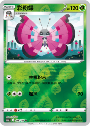 彩粉蝶