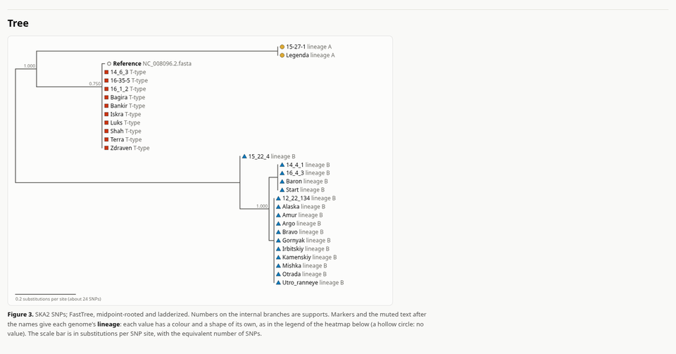 The tree of the tutorial in the report, with the lineages as metadata