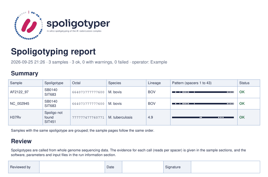 Summary page of the PDF report