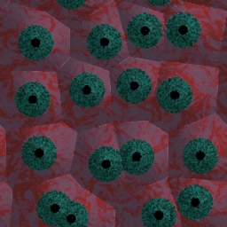 Eyes