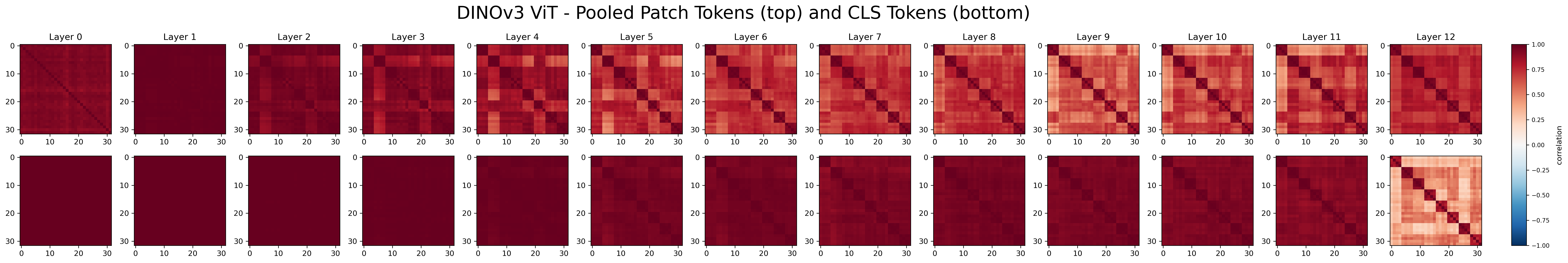 DINOv2 pairwise correlation matrix at final layer