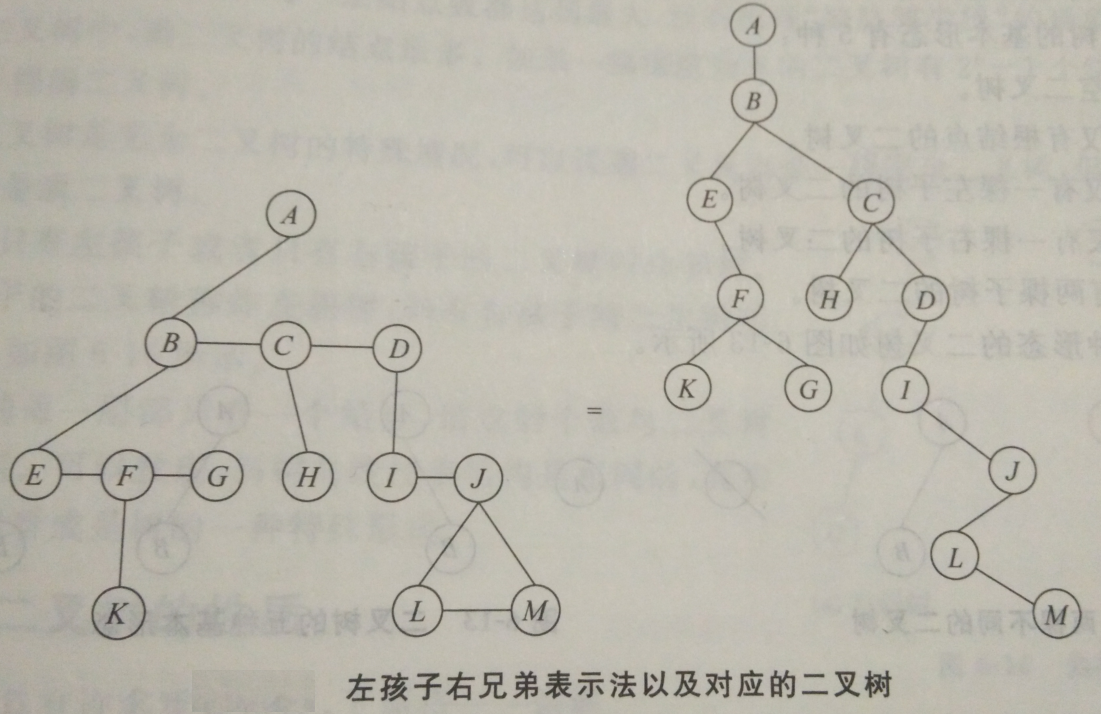 左孩子右兄弟表示法