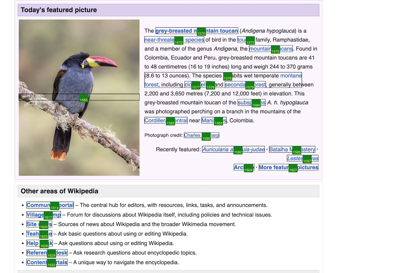 Page visual snapshot enhanced with boxes for interactible elemenents