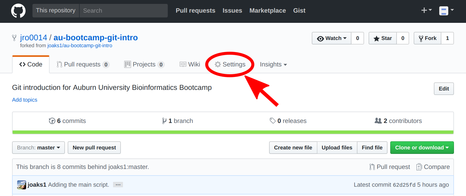 Github settings tab