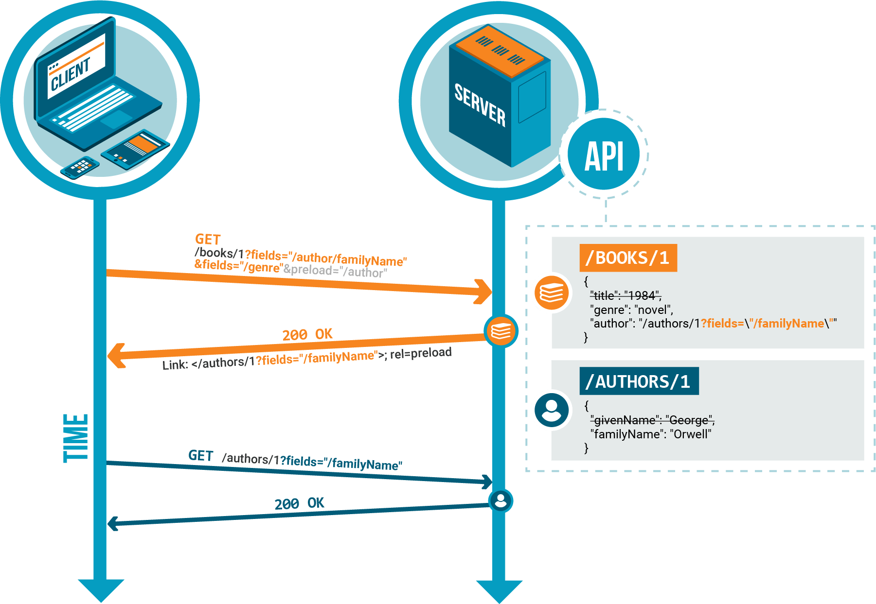 Fields Schema