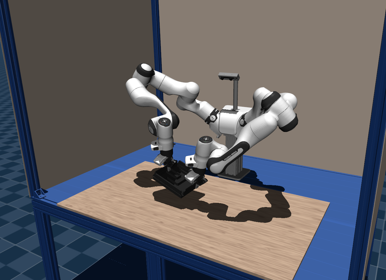 Ball-Maze task image