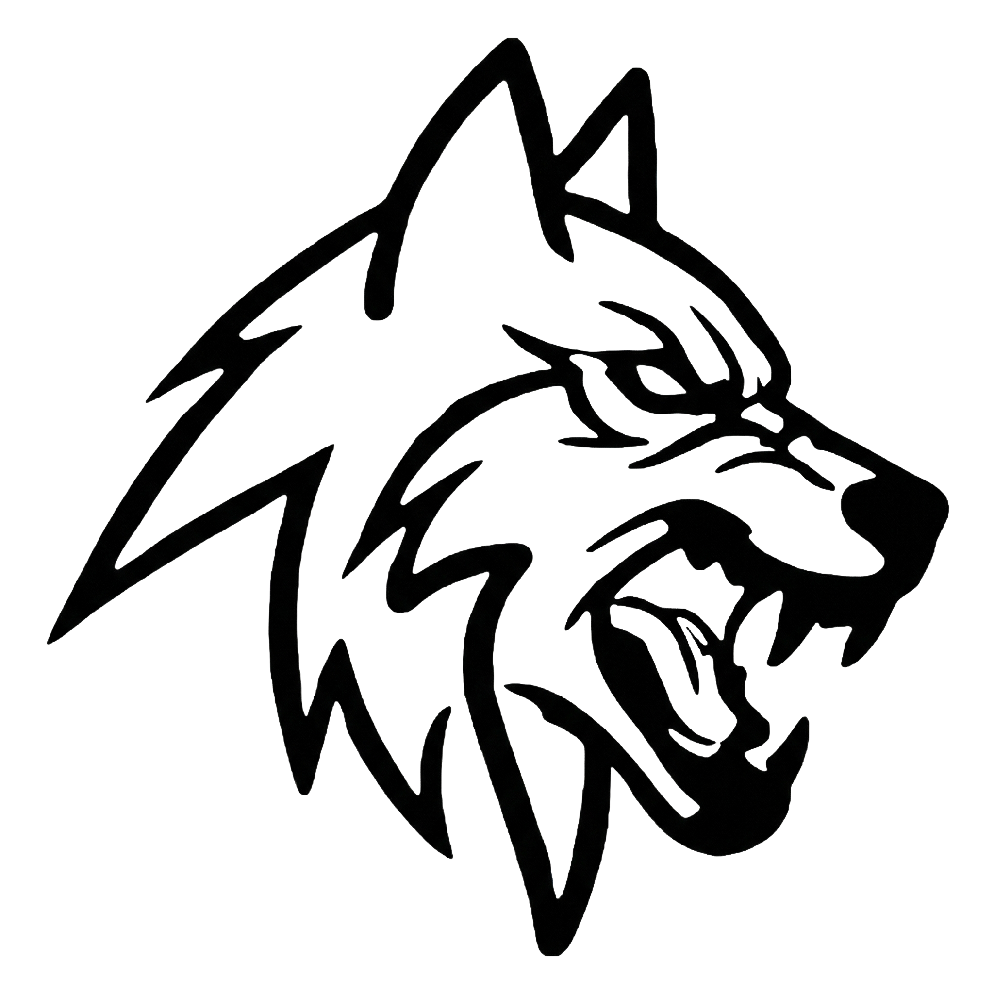 Skylos - Python SAST and Dead Code Detection Tool