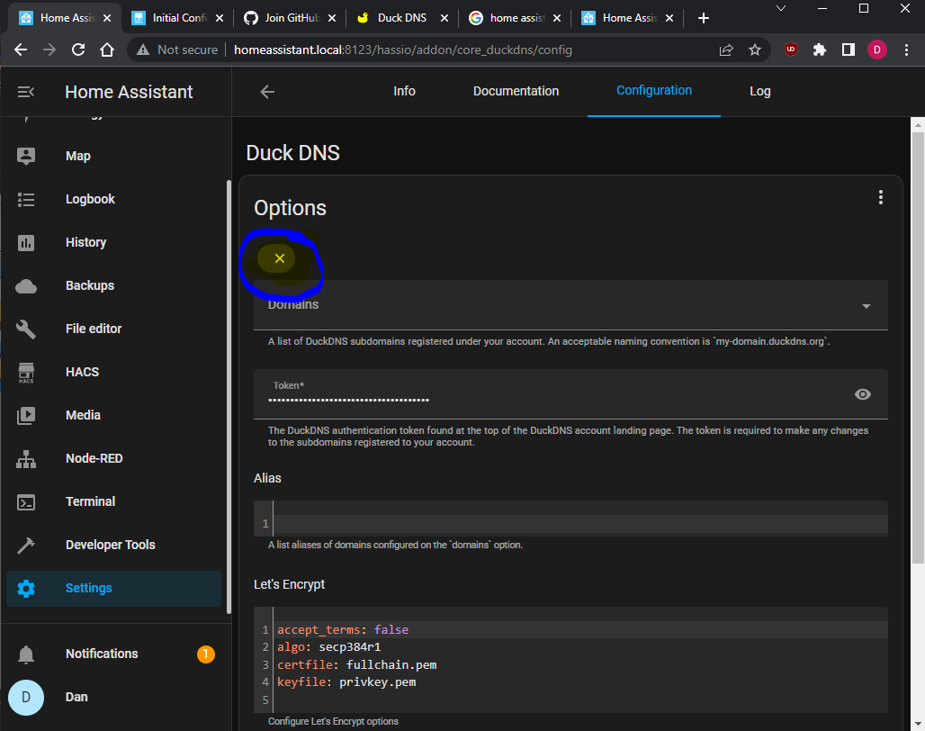 Duck DNS Config 1