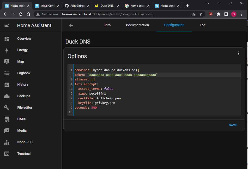 Duck DNS Broken Config