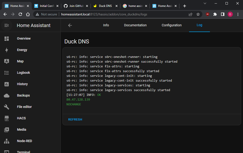 Duck DNS Success