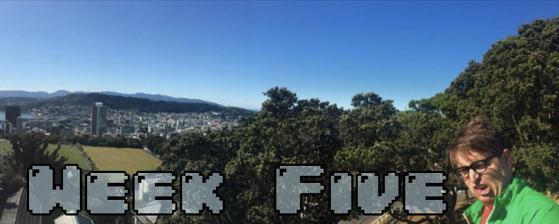 Week Five - Dylan looking insane at the end of a panoramic of Wellington NZ