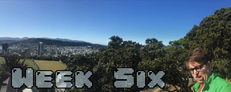 Week Six - Dylan looking insane at the end of a panoramic of Wellington NZ