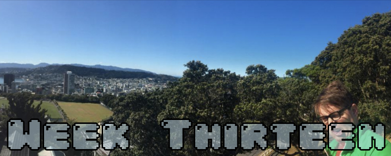 Week Thirteen - Dylan looking insane at the end of a panoramic of Wellington NZ