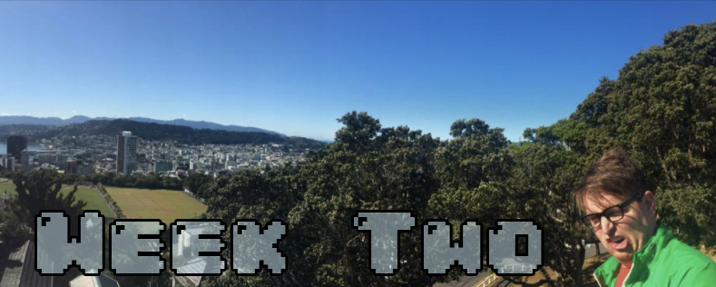 Week Two - Dylan looking insane at the end of a panoramic of Wellington NZ