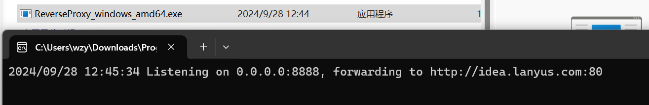 image-20240928124605722