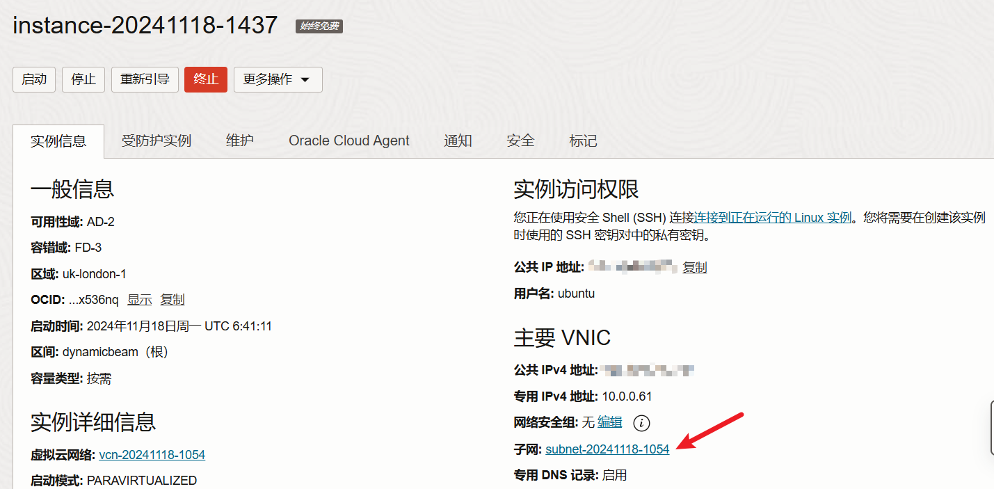 image-20241119185616265