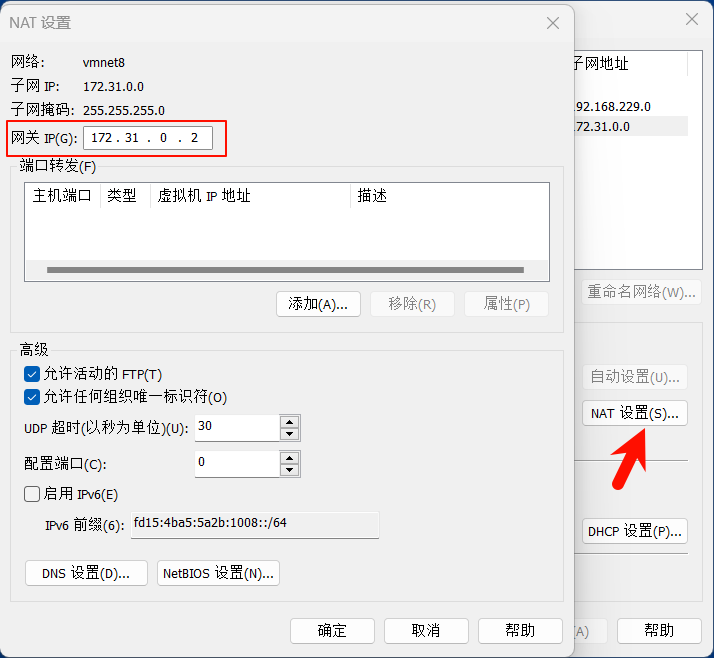 image-20250207113413804