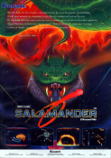 Salamander