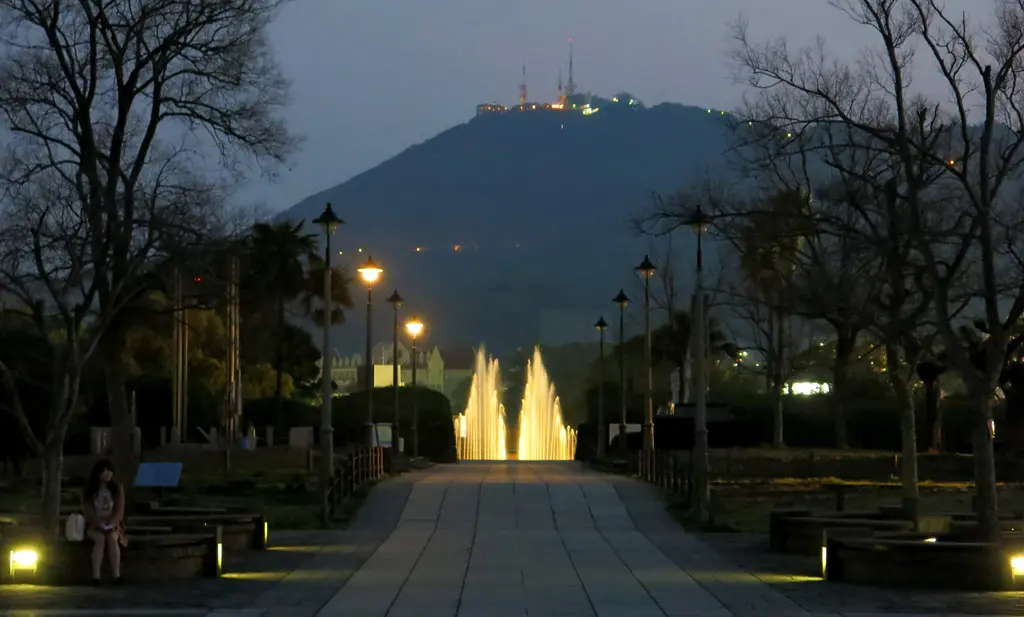 Peace Park at Night