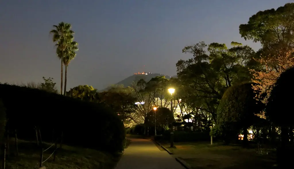 Peace Park at Night