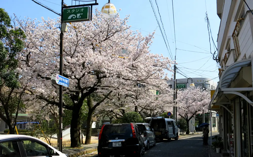 Inasa-yama 稲佐山