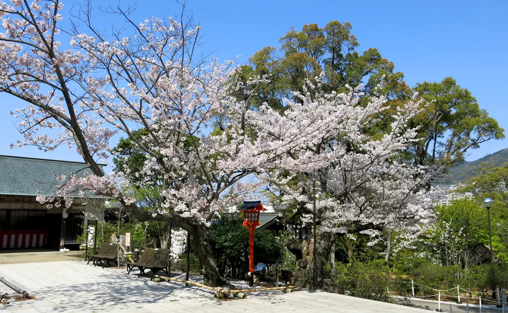 Inasa-yama 稲佐山