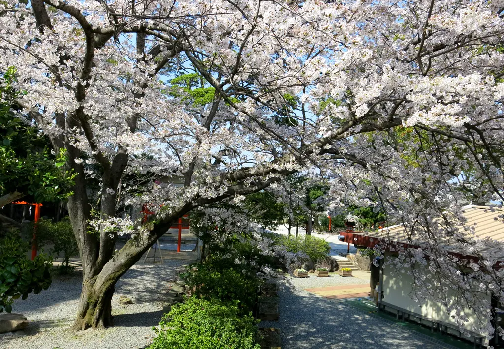 Inasa-yama 稲佐山