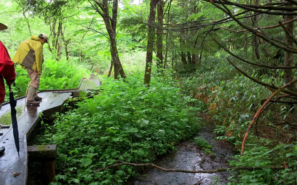 Goshikigahara 五色ヶ原