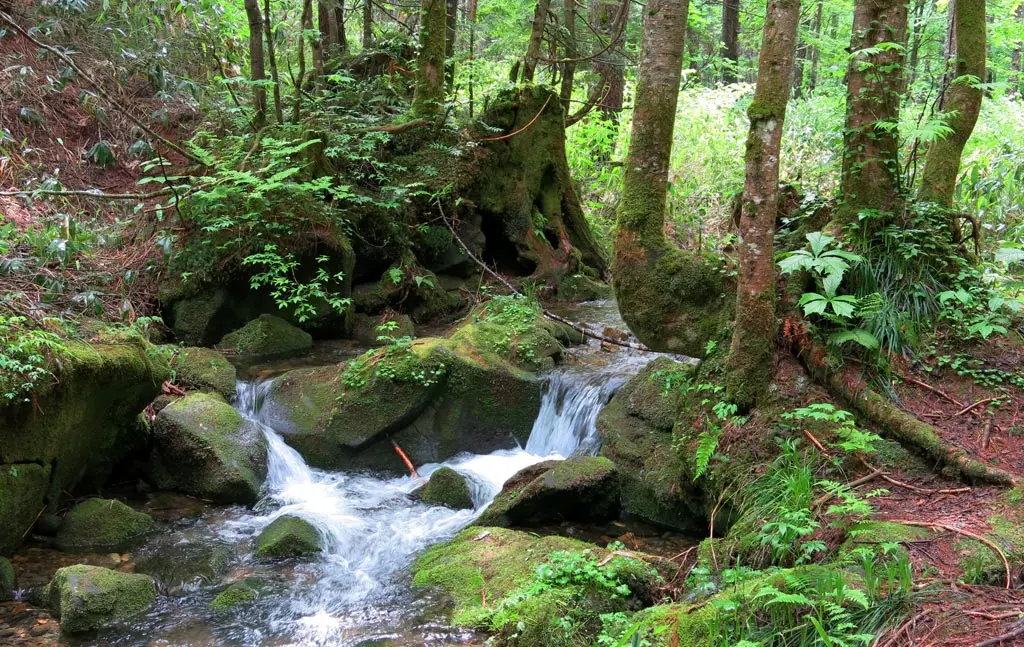 Goshikigahara 五色ヶ原