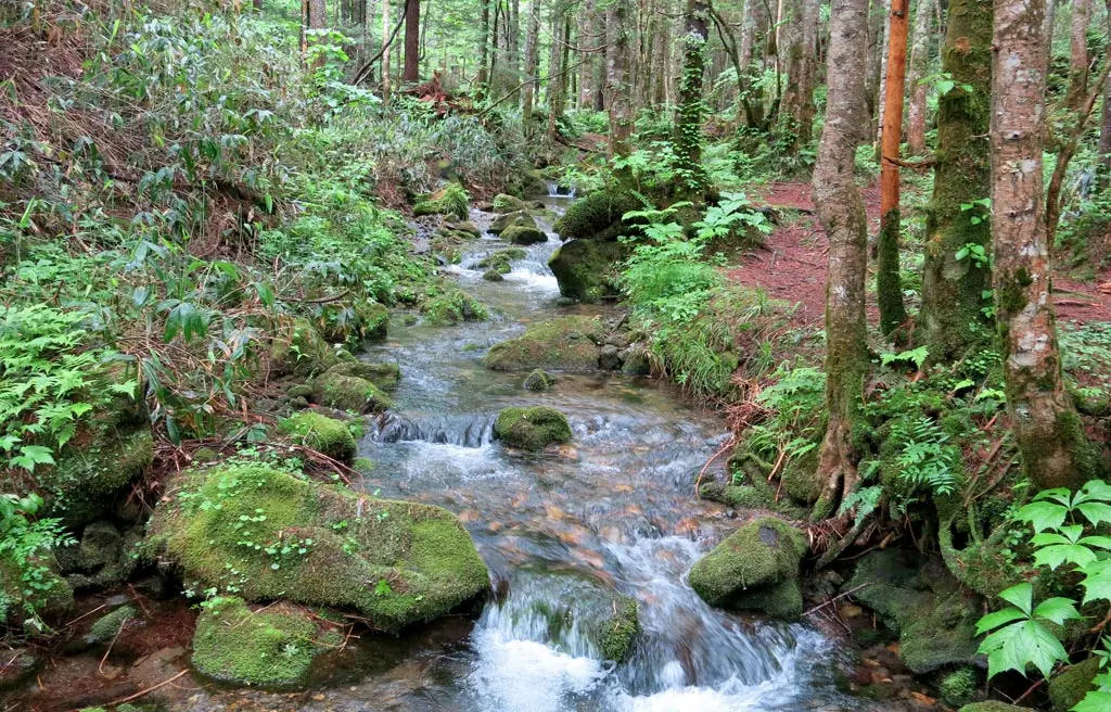 Goshikigahara 五色ヶ原