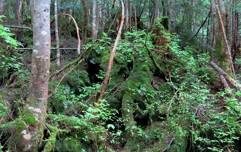 Goshikigahara 五色ヶ原