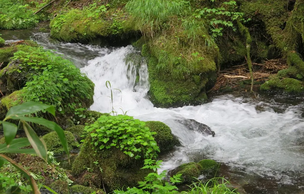 Goshikigahara 五色ヶ原