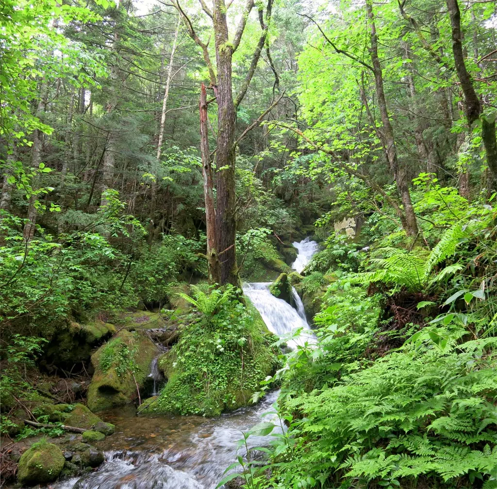 Goshikigahara 五色ヶ原