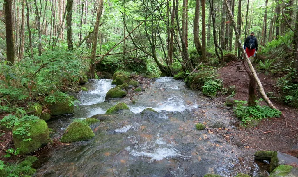 Goshikigahara 五色ヶ原