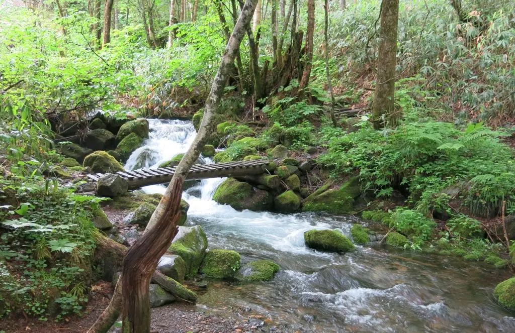 Goshikigahara 五色ヶ原