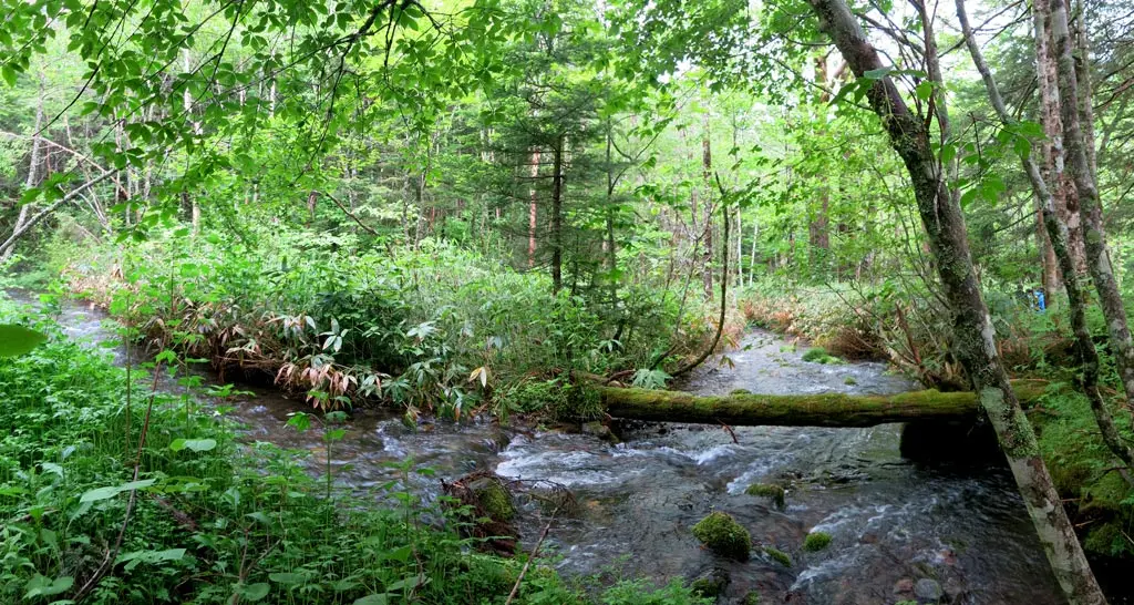 Goshikigahara 五色ヶ原