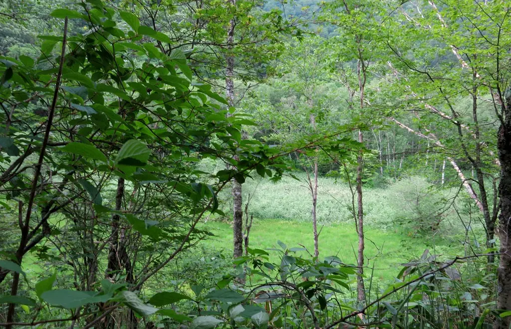 Goshikigahara 五色ヶ原