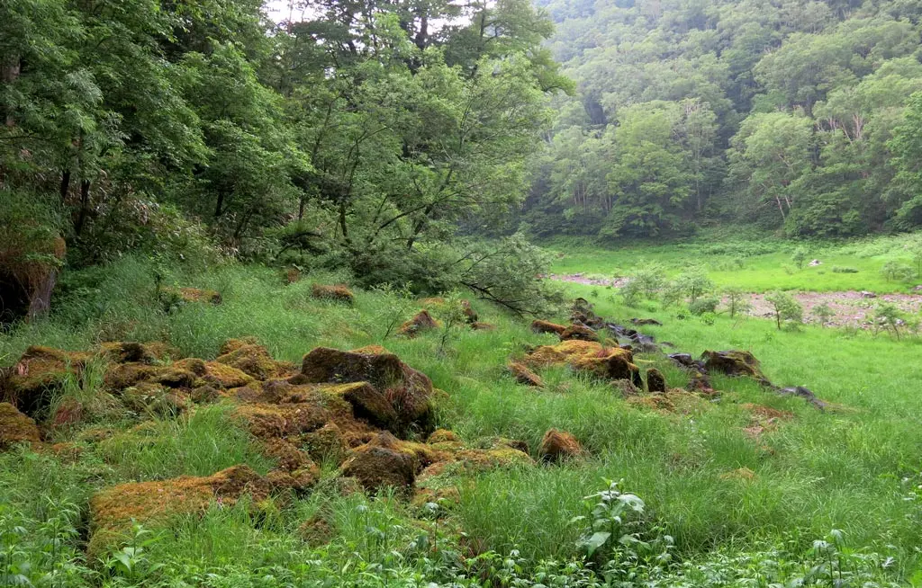 Goshikigahara 五色ヶ原