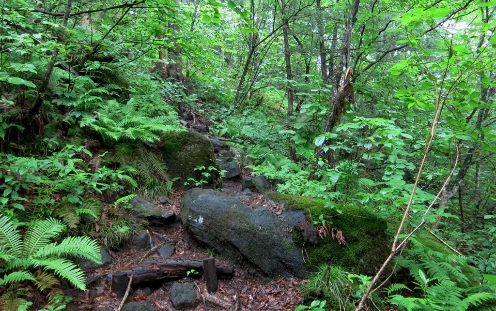 Goshikigahara 五色ヶ原