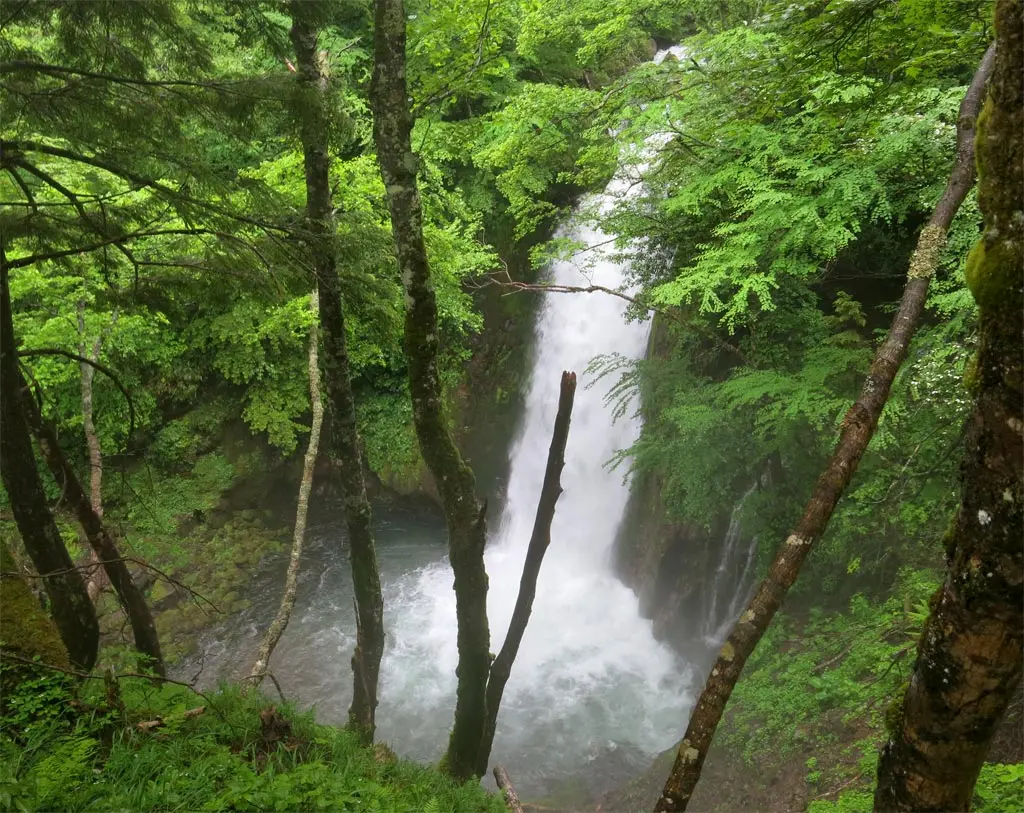 Goshikigahara 五色ヶ原